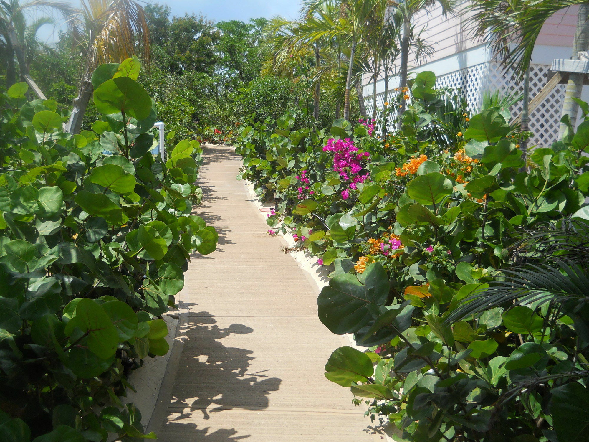 Harbor Breeze Villas Clarence Town Екстериор снимка